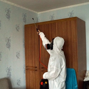 Борьба с клопами в домашних условиях – Омск