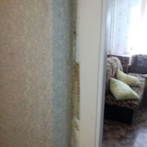 Уничтожение клопов в квартире с гарантией Омск