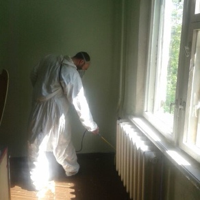 Вывести тараканов в квартире в Омске