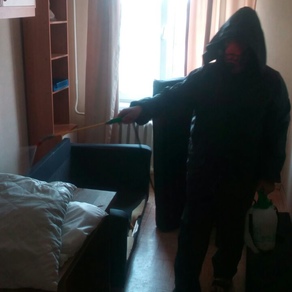 Уничтожение тараканов в квартире с гарантией в Омске
