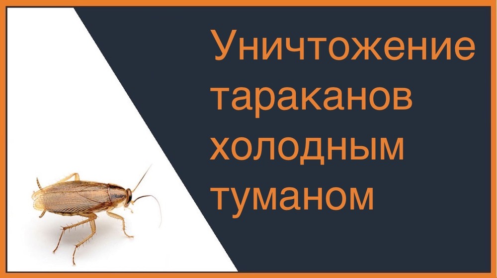 Уничтожение тараканов холодным туманом в Омске